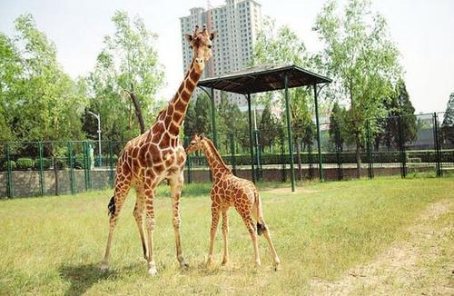太原，向各位听众朋友们问好！