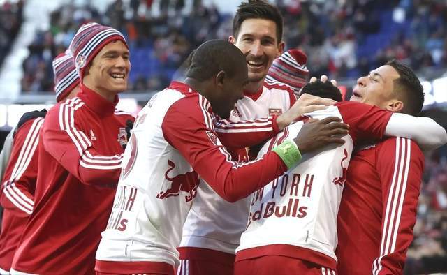 燃情纽约，红牛精神，纽约红牛队的励志足球传奇