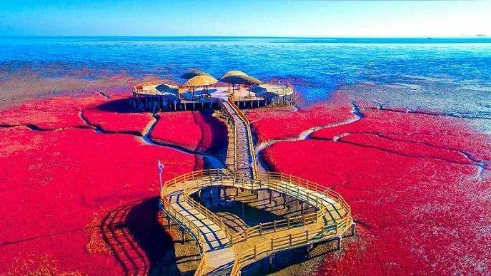 盘锦,独特美丽的城市风采✨