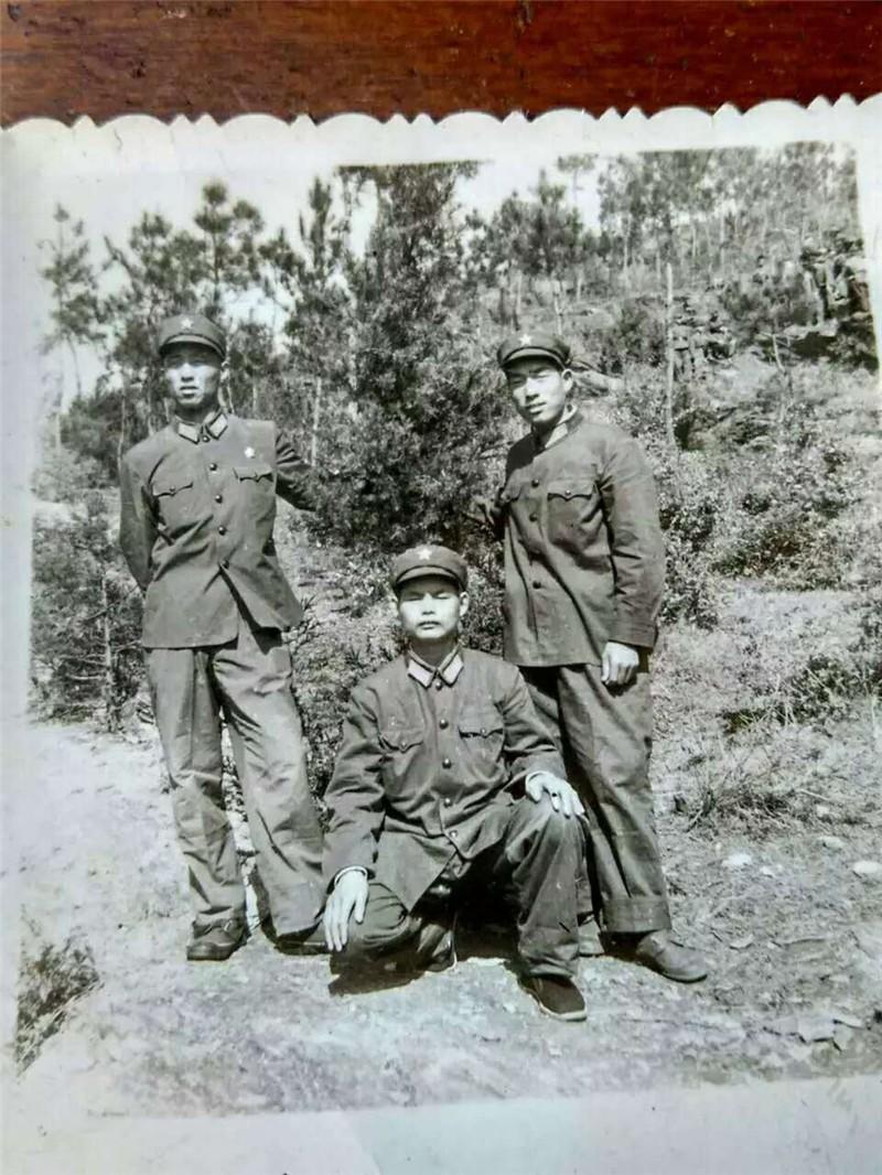 蕲春县,历史与现代交融的美丽画卷巡礼